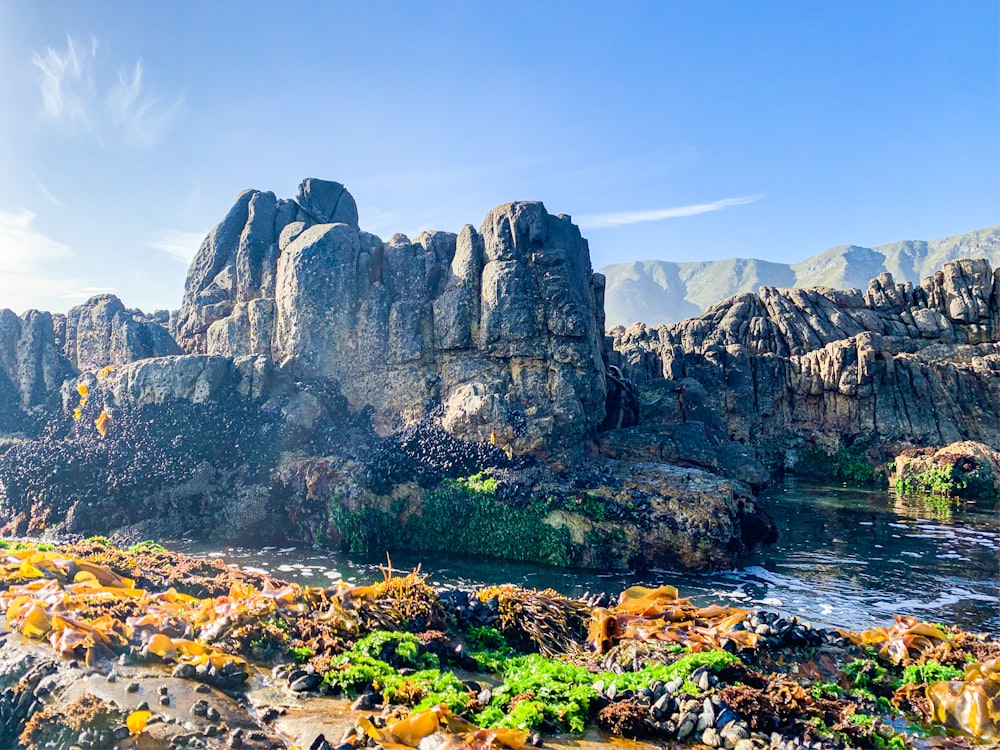 green and brown mountain beside body of water during daytime