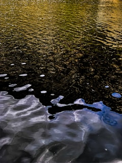 Rippled water surface reflecting golden and blue hues with white bubbles scattered across the water.