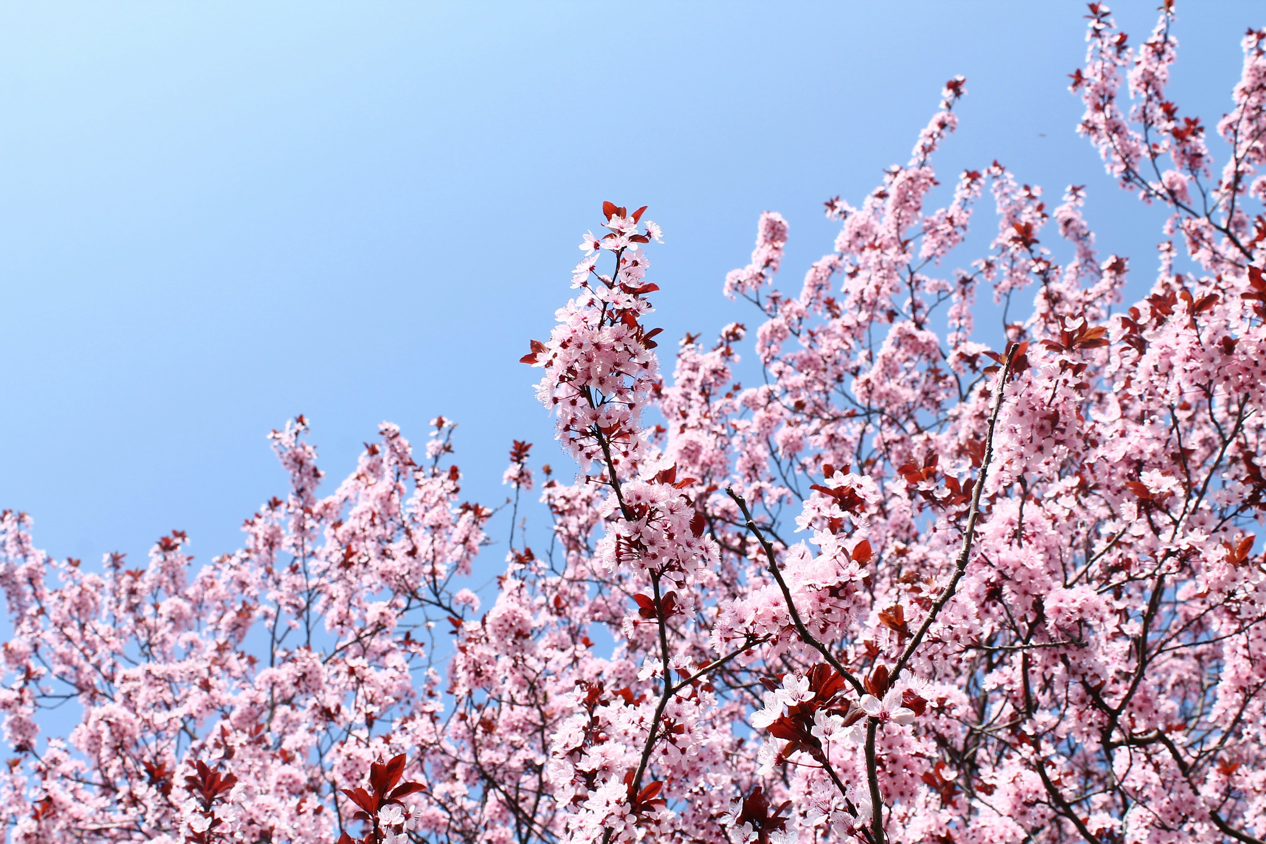 Photo by photomatic_s