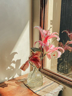A tall glass vase filled with fresh white lilies, placed on a sunlit windowsill
