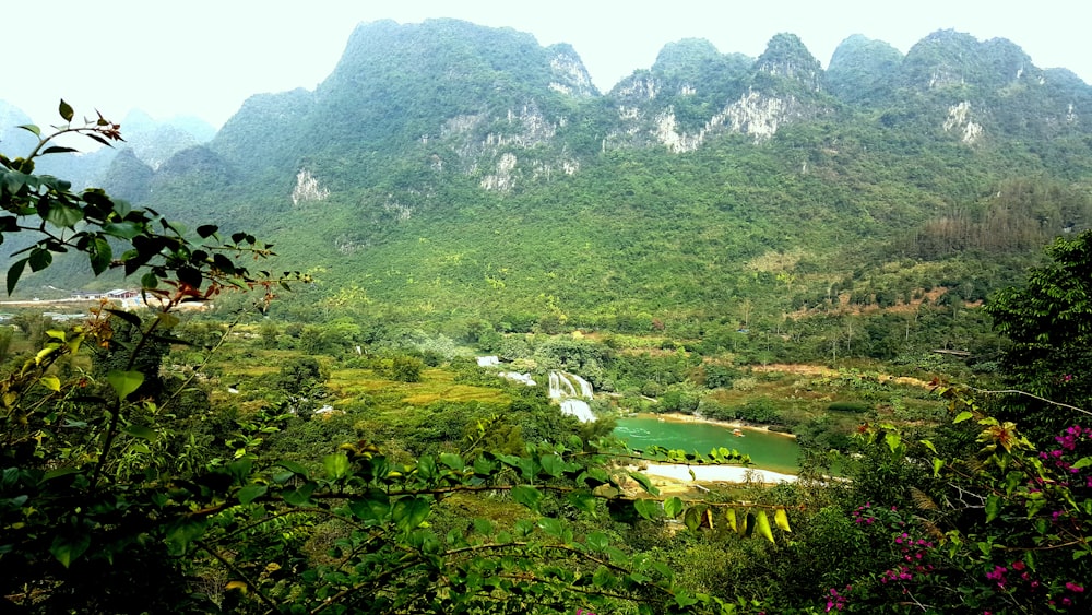 green grass field and mountain during daytime