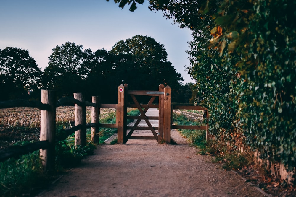 brown wooden fence near green trees during daytime