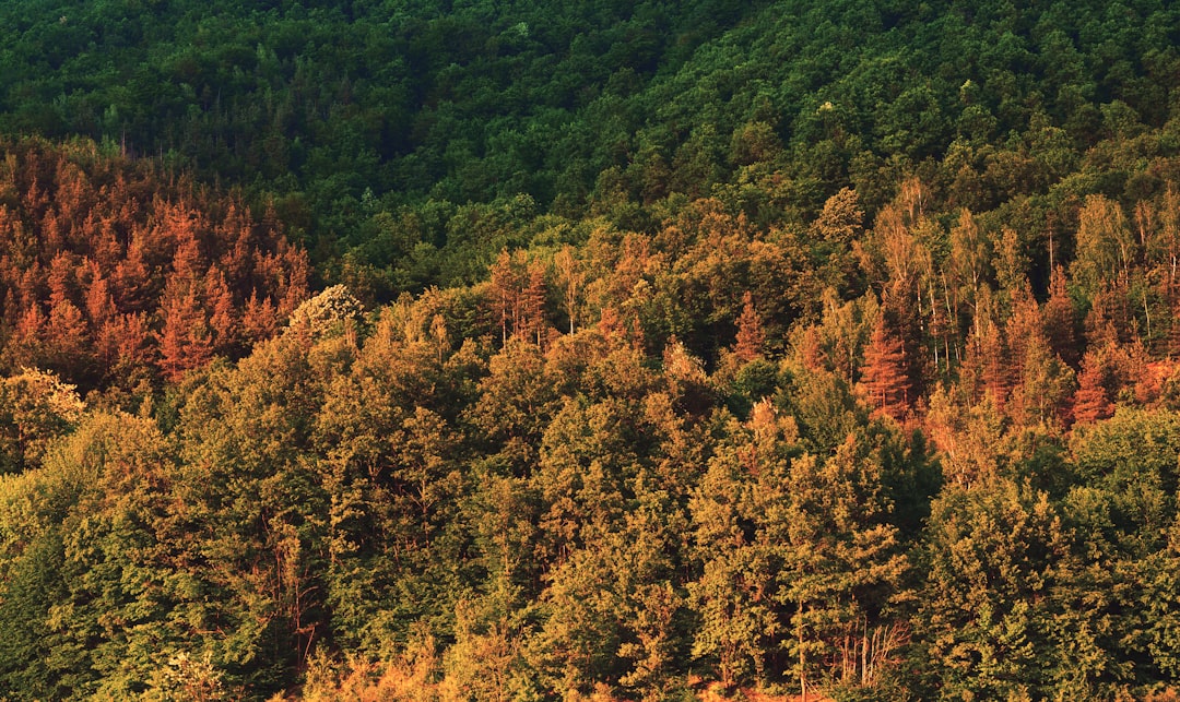 Highland photo spot Bebresh Bulgaria