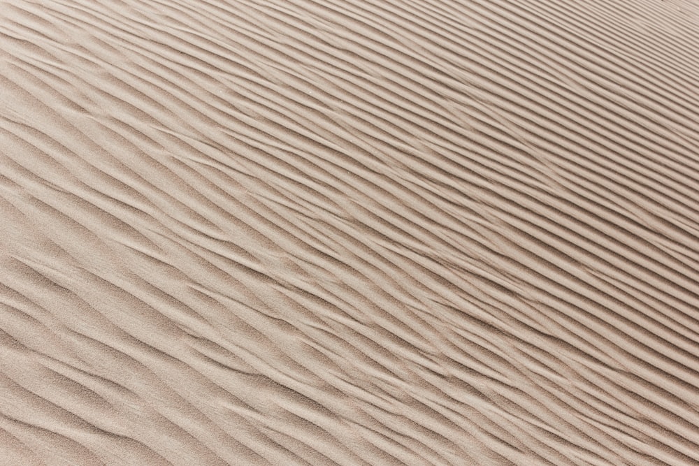 a person riding a horse in the desert