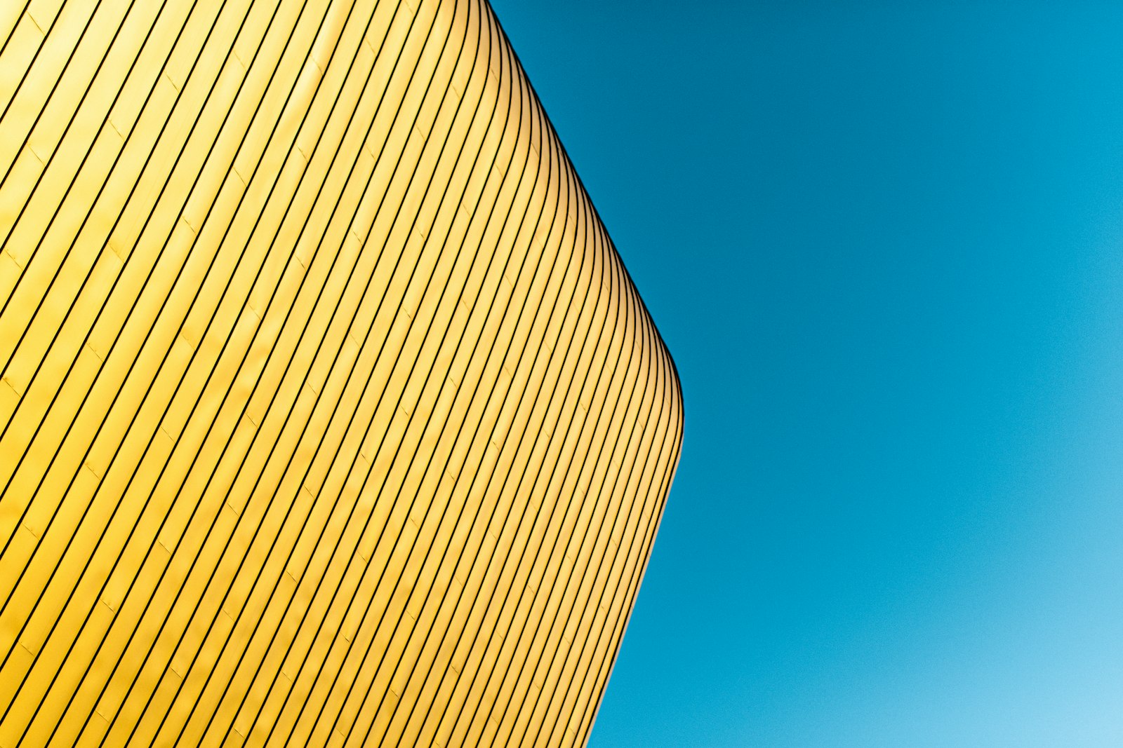 Nikon D7500 + Nikon AF-S Nikkor 50mm F1.4G sample photo. Yellow and blue striped photography