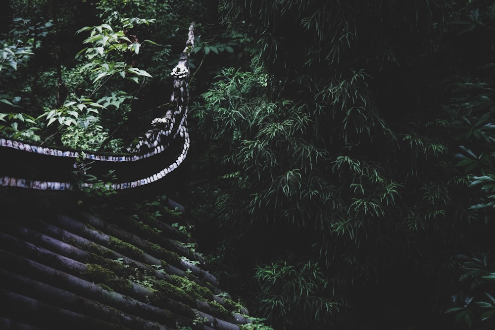 Corde noire et blanche sur pont en bois marron