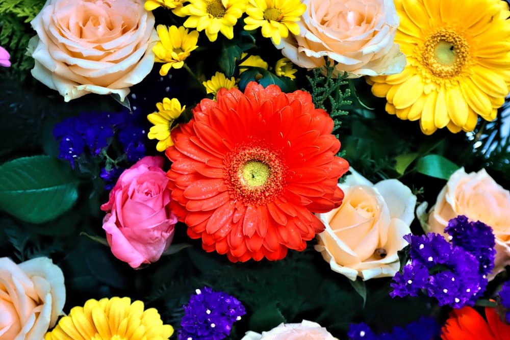 red and yellow flower bouquet