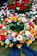 A colorful floral arrangement with a variety of flowers including roses, gerbera daisies, and tulips. Red rose petals are scattered in the background, enhancing the vibrant display on a bed of moss. A dark ribbon is incorporated into the arrangement, suggesting a formal or somber occasion.