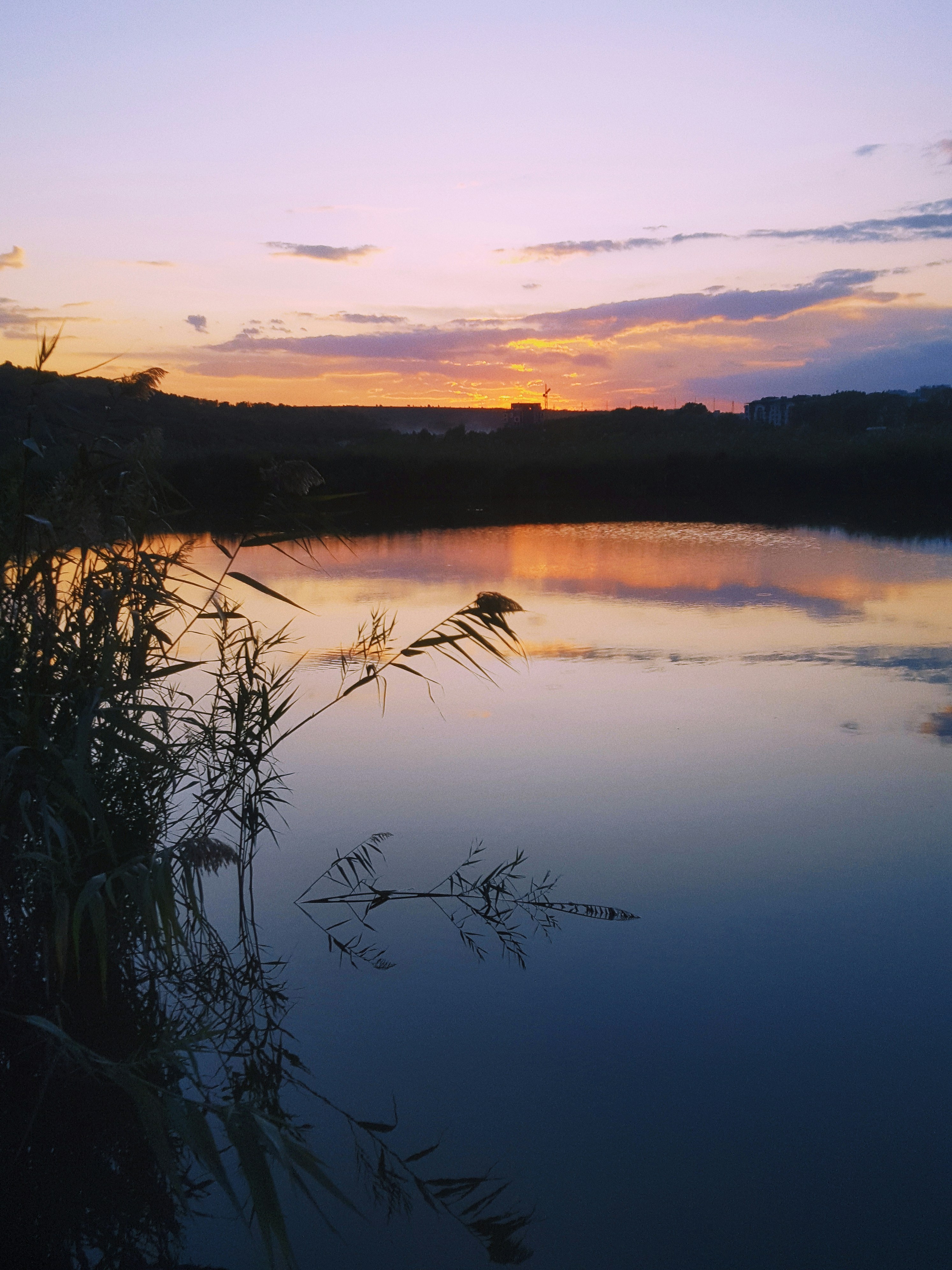 Photo by nasteagangal