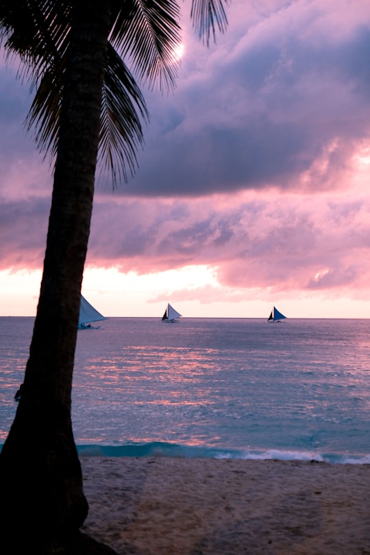 silhouette of palm tree near body of water during sunset in Boracay Philippines