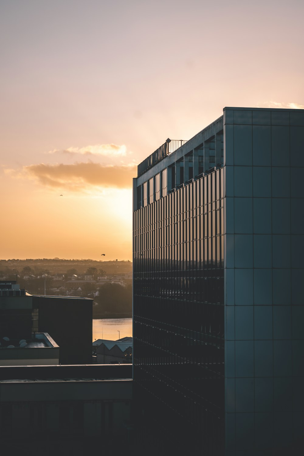 black and white concrete building during sunset