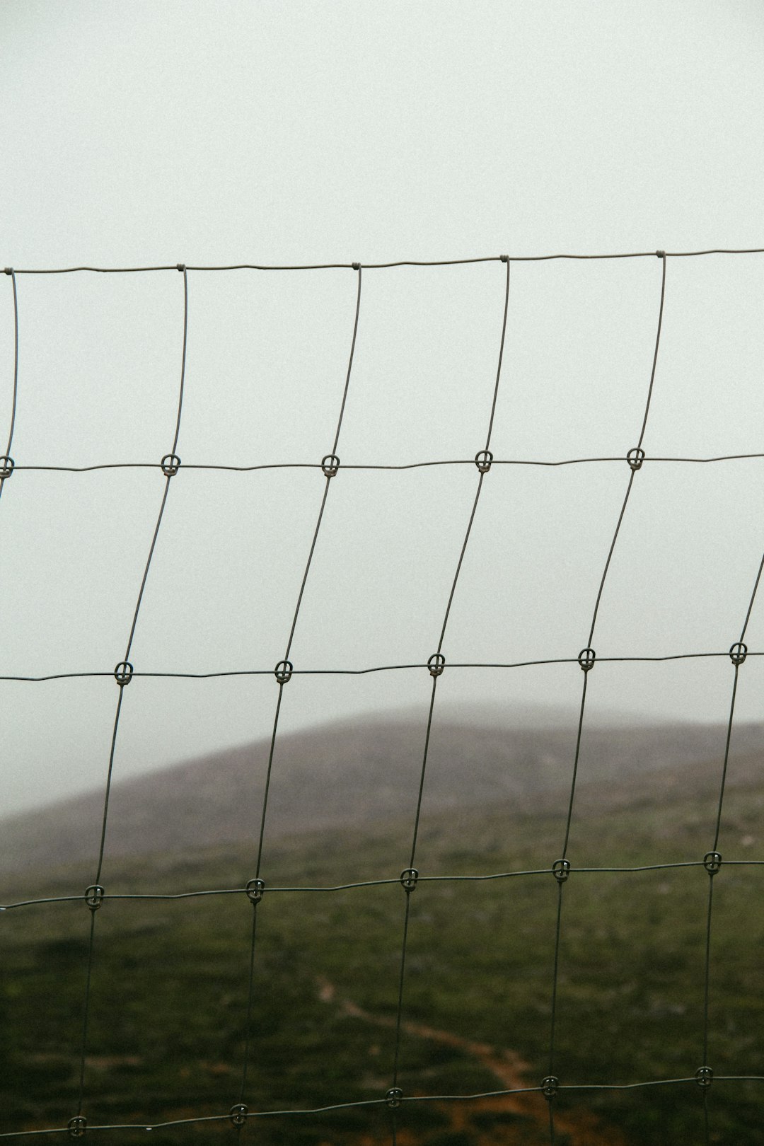 white metal fence on green grass field during daytime