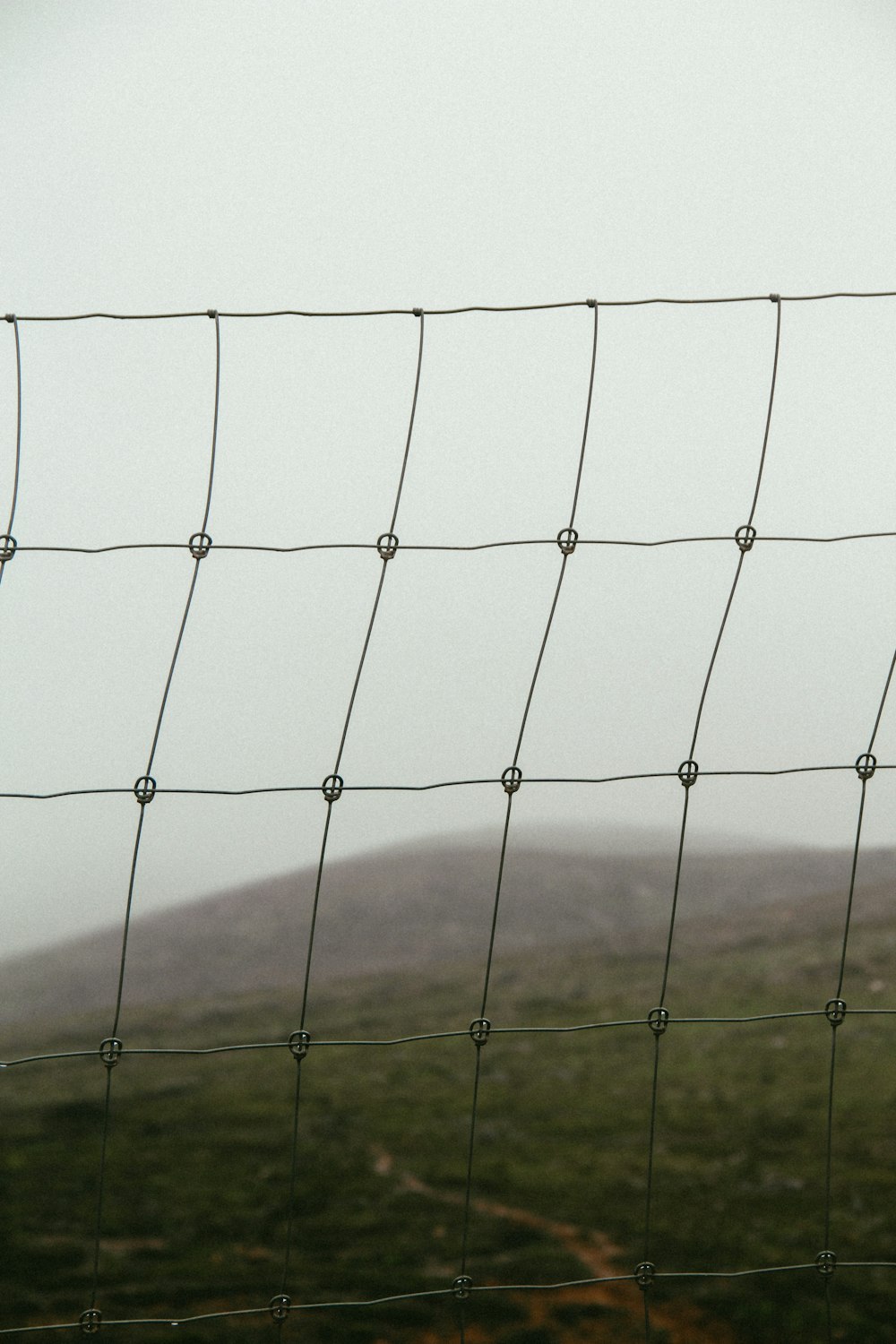 white metal fence on green grass field during daytime