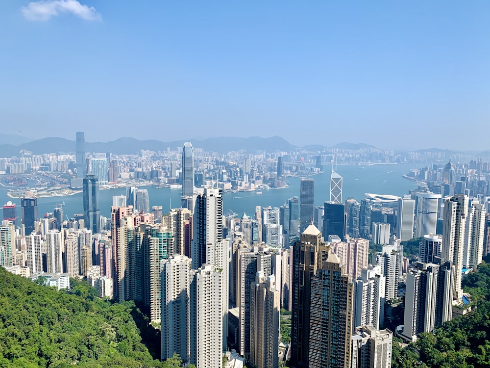 aerial view of city buildings during daytime