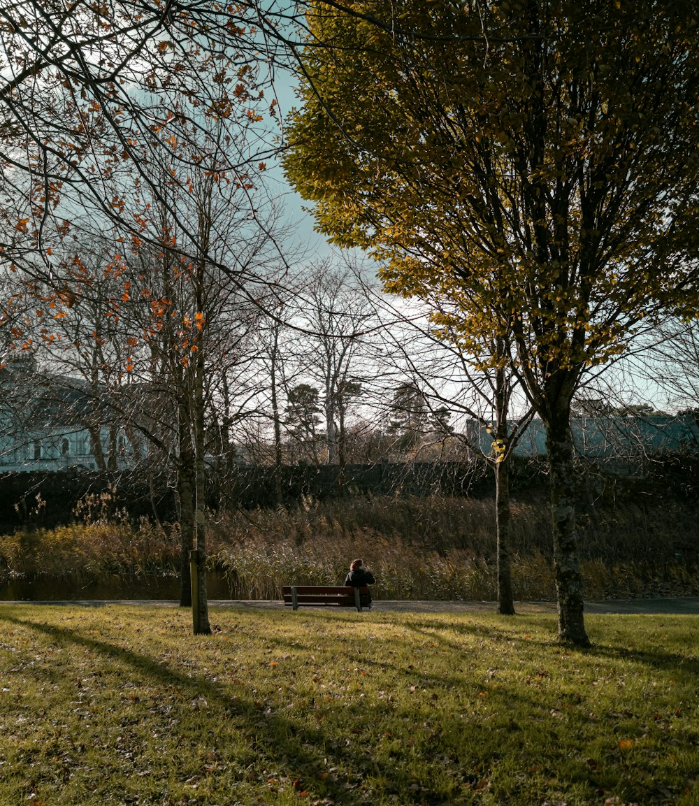 man in black jacket sitting on bench near bare trees during daytime
