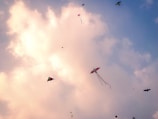 Kites of various shapes and colors soar against a backdrop of a partly cloudy sky, with a mixture of soft pink and blue hues.
