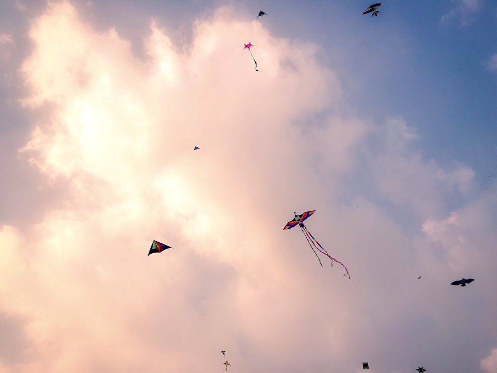 昼間の曇り空の下を飛ぶ鳥の群れのローアングル写真