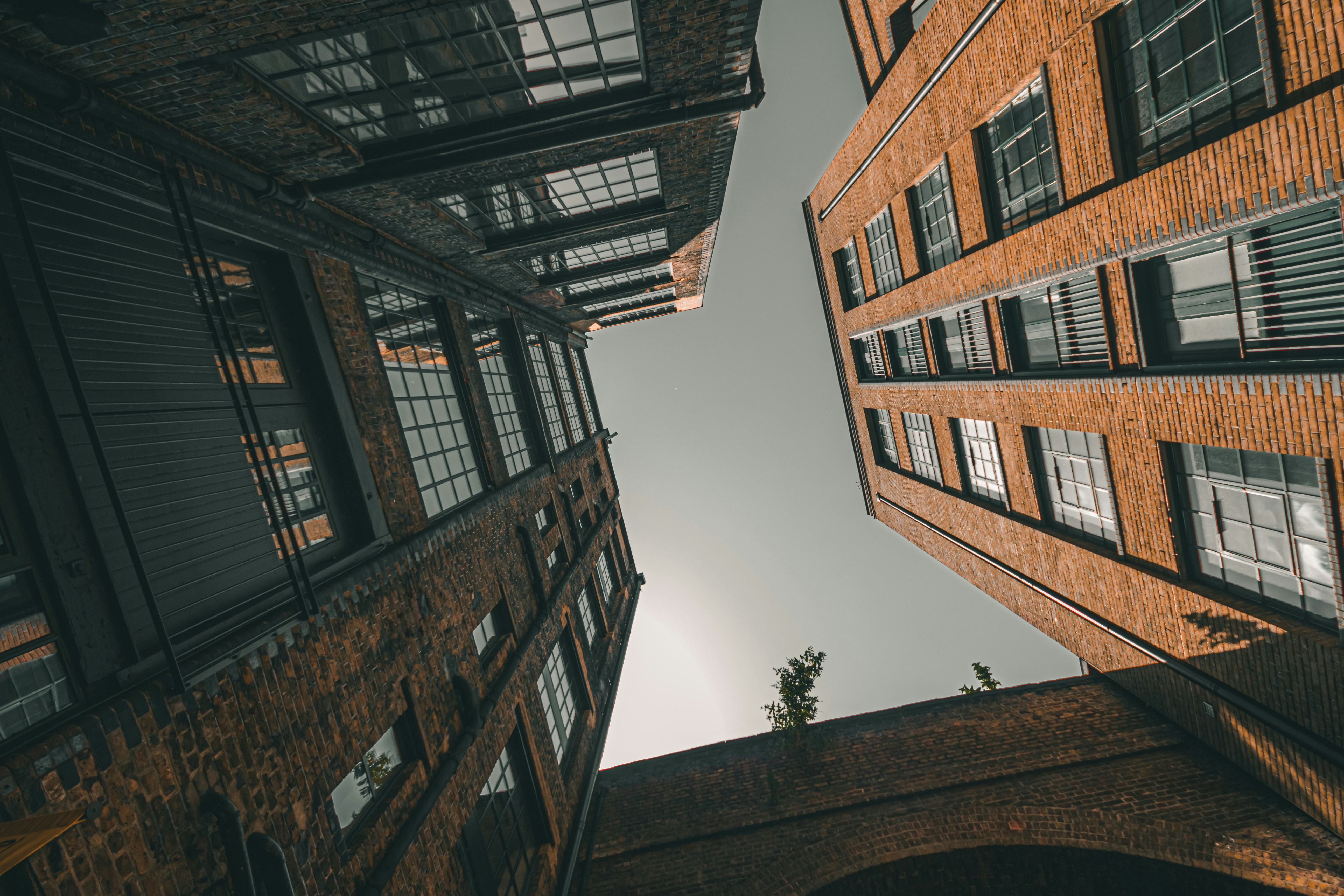 Photo by peteralbanese