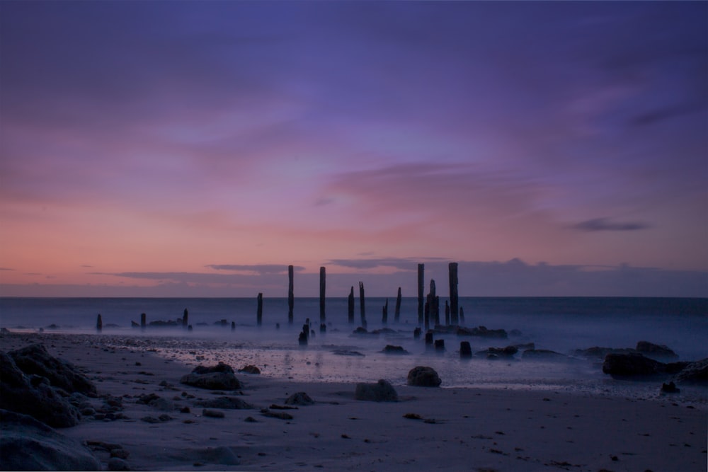 brown wooden posts on beach during sunset