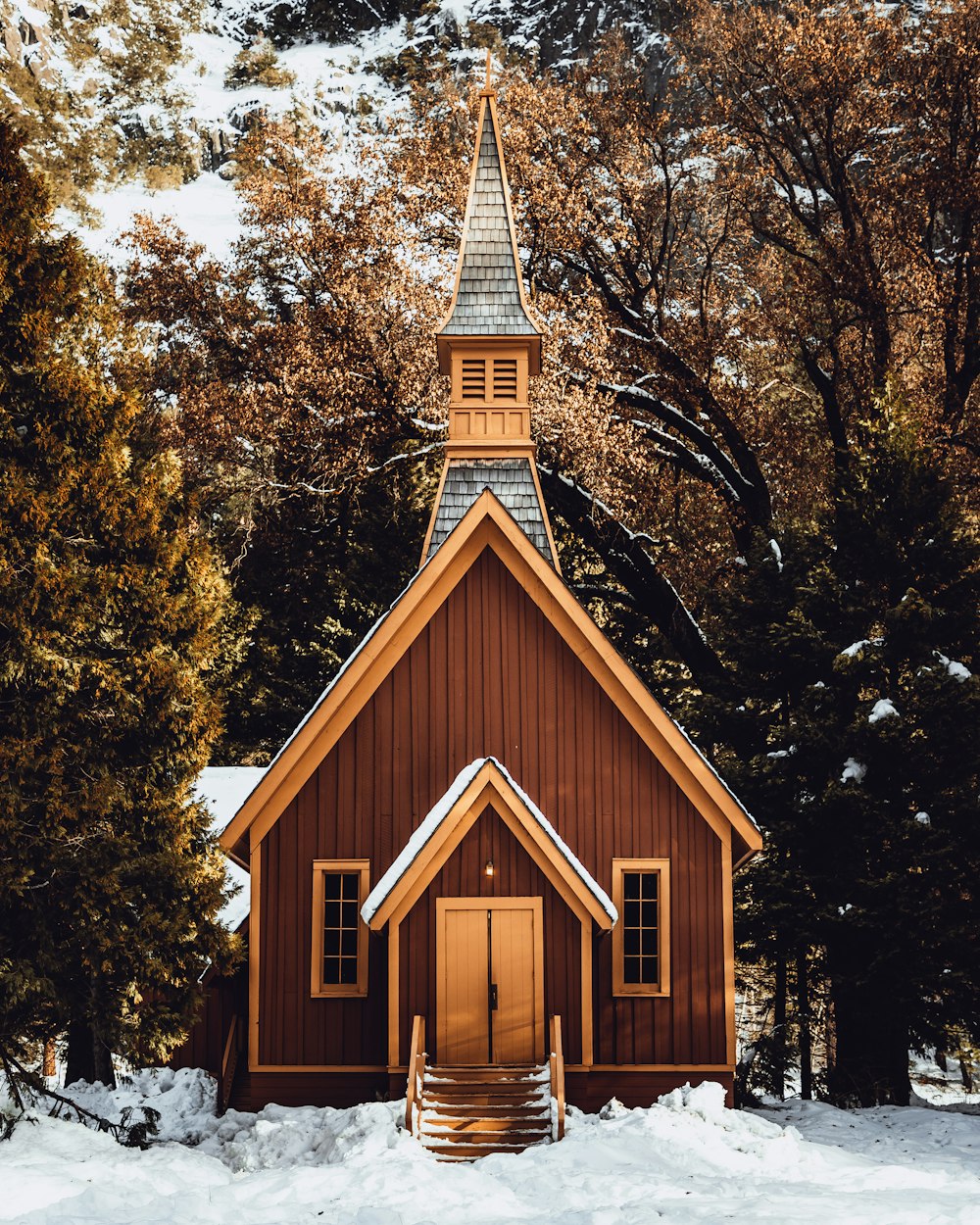 brown and white concrete church near green trees during daytime