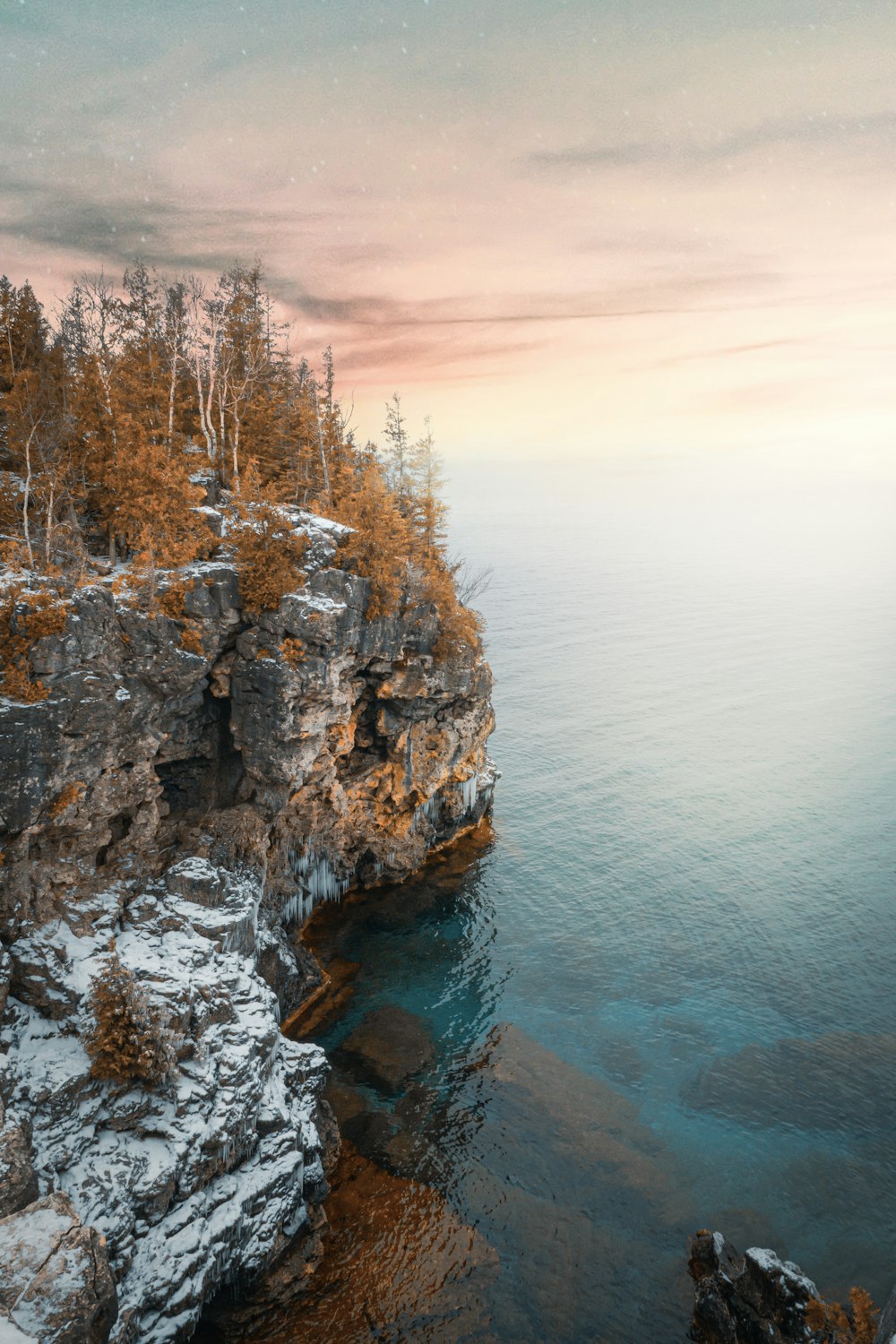 brown trees on rocky mountain beside body of water during daytime