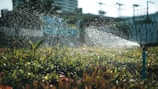 Water sprays out from a garden sprinkler, creating a fine mist over vibrant green plants and grass. The sunlight catches the droplets, giving a sparkling effect. The background features a fence and blurred buildings, indicating an urban setting.