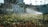 Water sprays out from a garden sprinkler, creating a fine mist over vibrant green plants and grass. The sunlight catches the droplets, giving a sparkling effect. The background features a fence and blurred buildings, indicating an urban setting.
