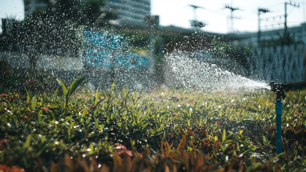 Wassertröpfchen an Glasscheibe