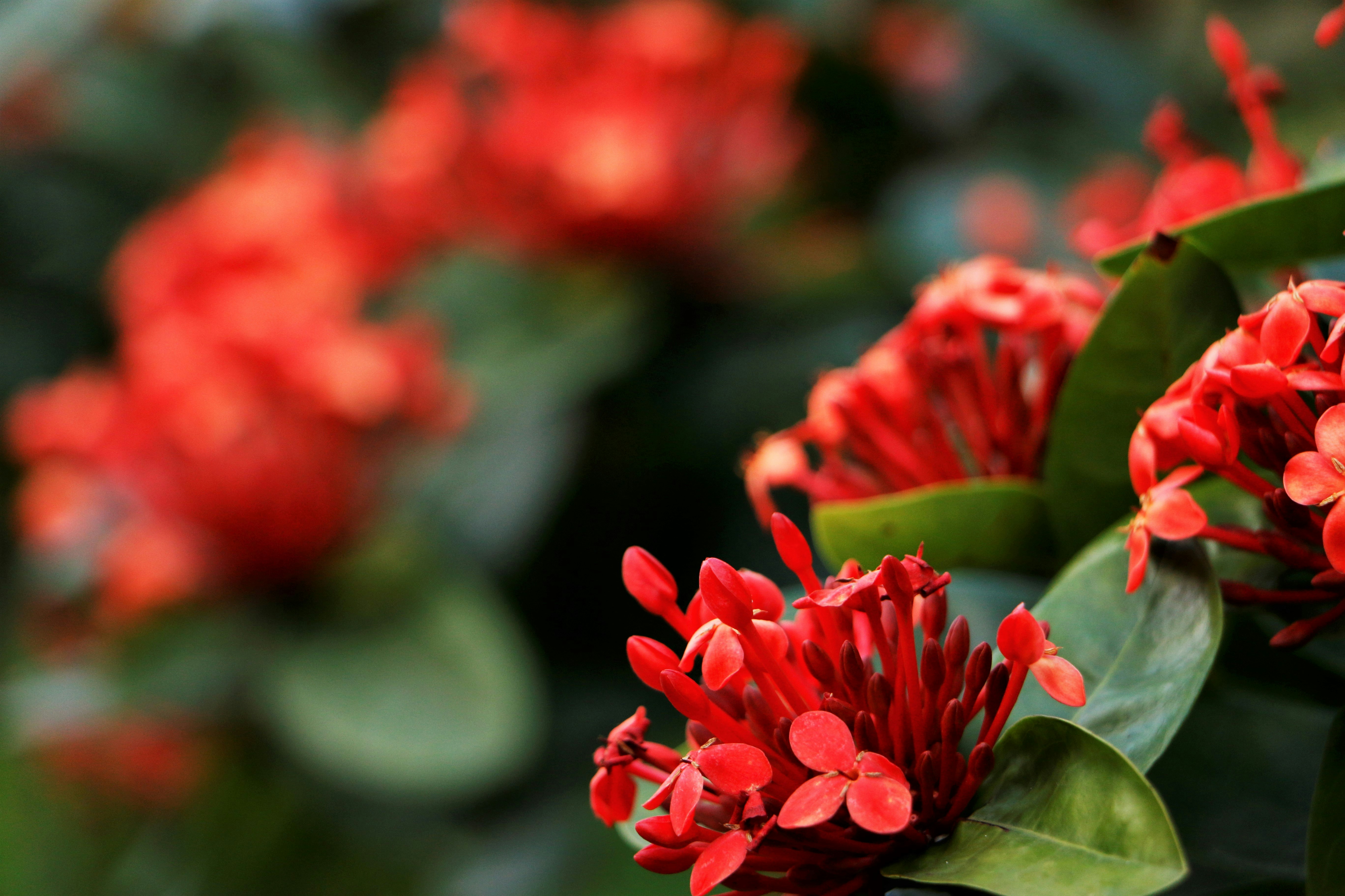 Photo by benjamin_1017