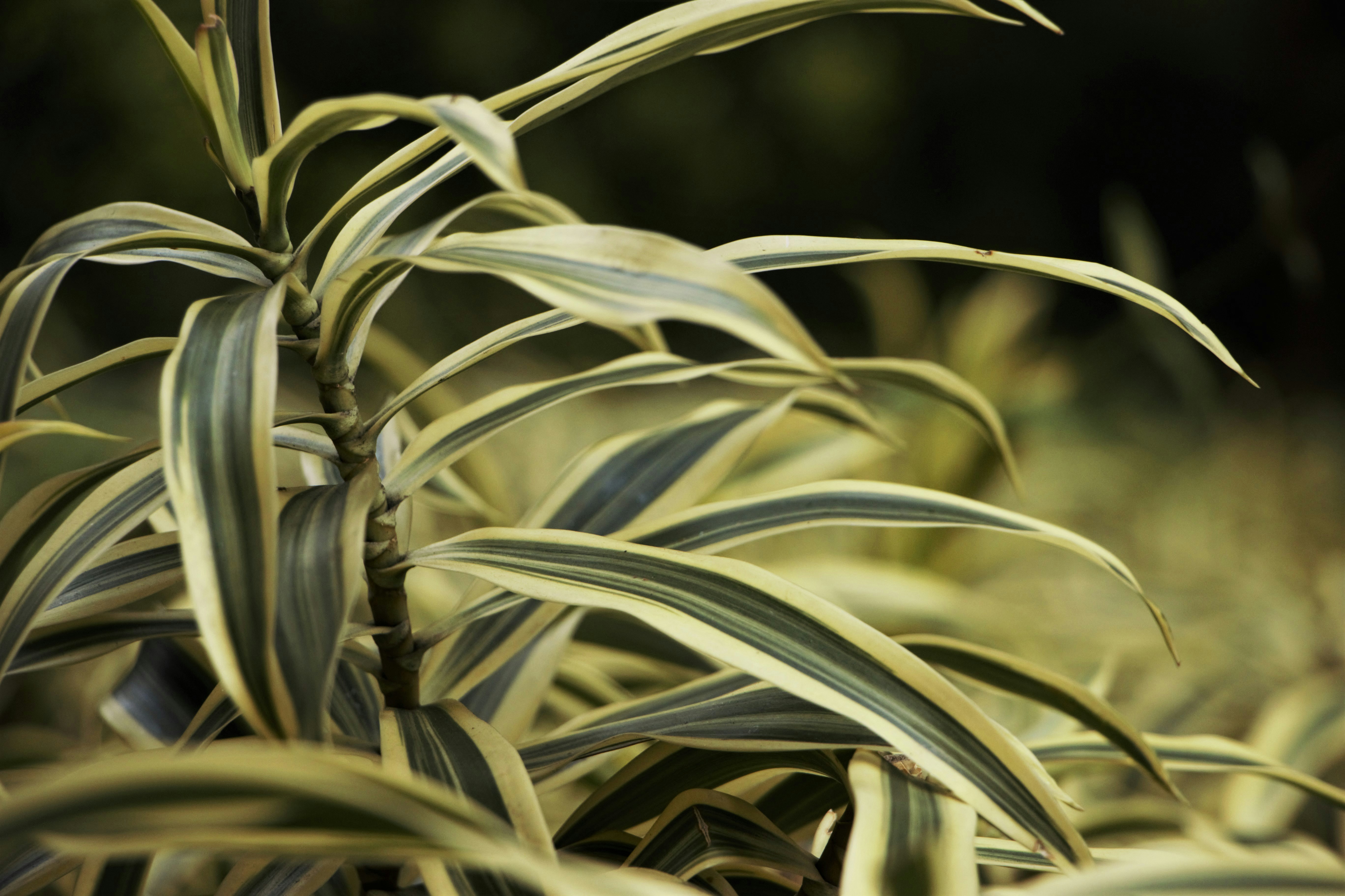 Photo by benjamin_1017