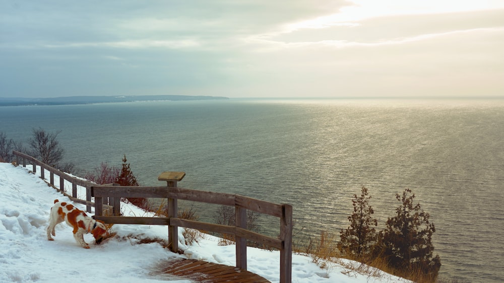 brown wooden bench on snow covered ground near body of water during daytime