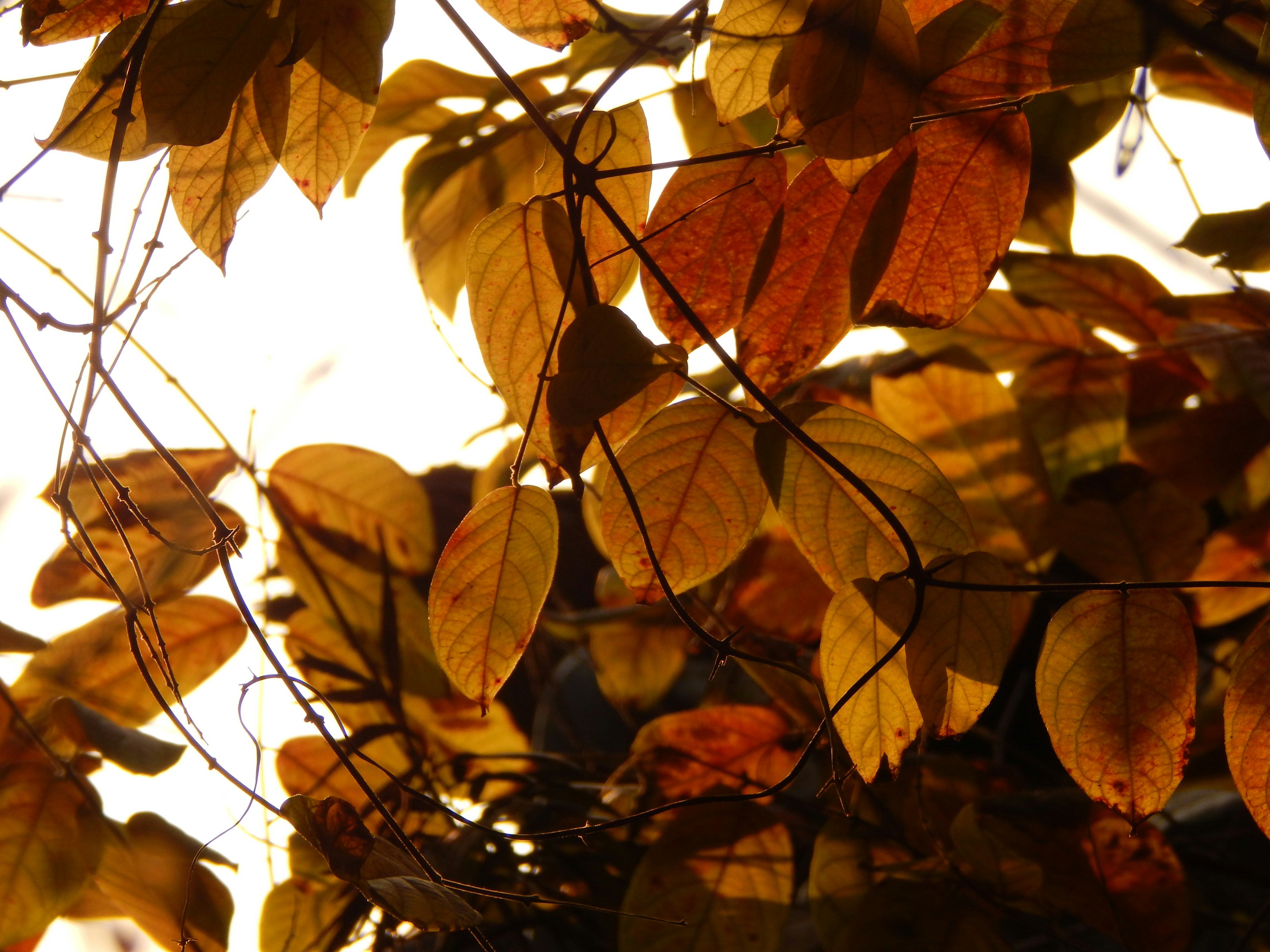 Photo by its__strange__