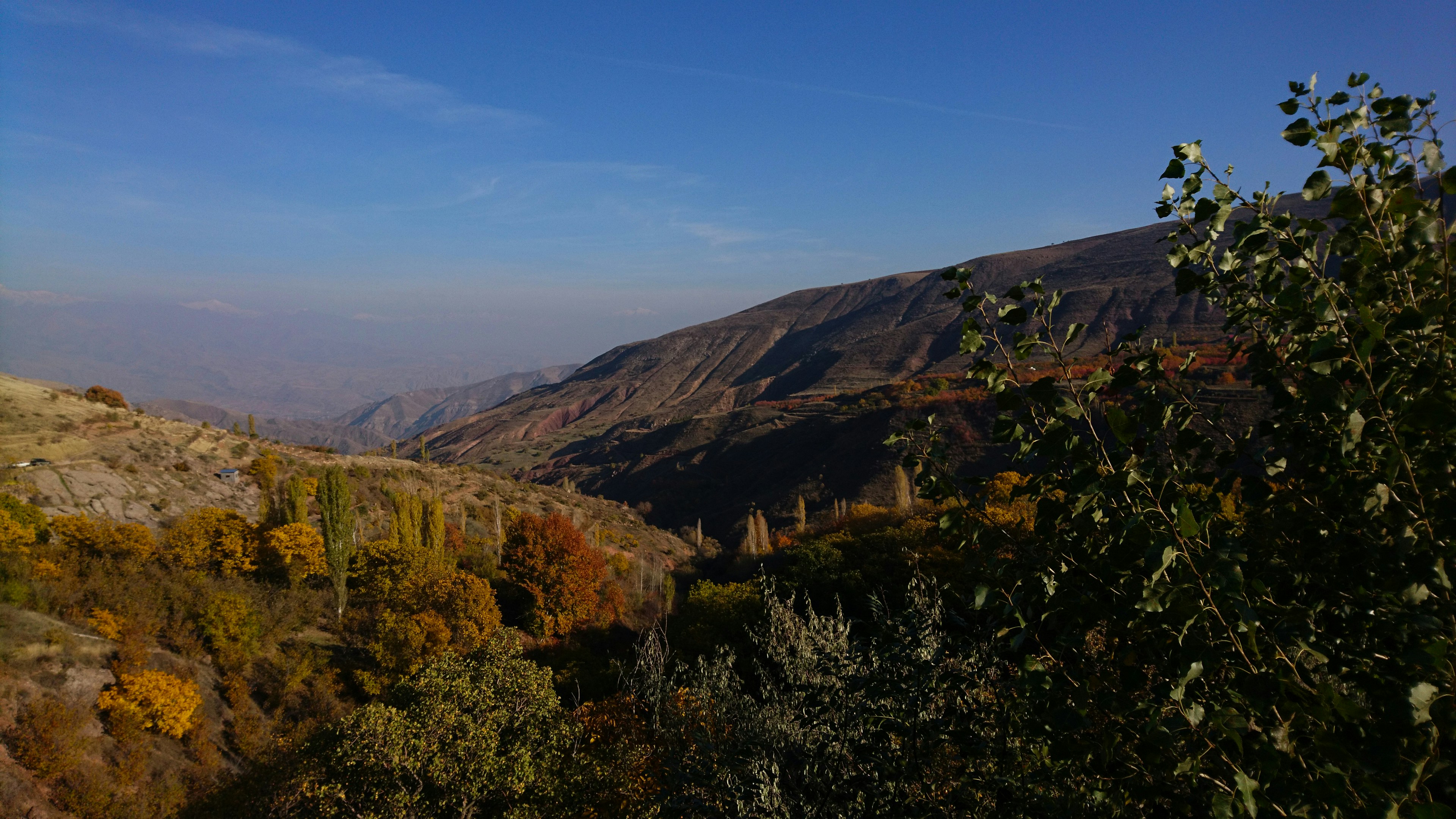 Photo by sepehr3b