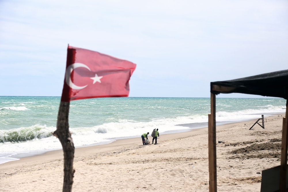 person in green shirt walking on beach during daytime