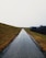 gray asphalt road between green grass field during daytime