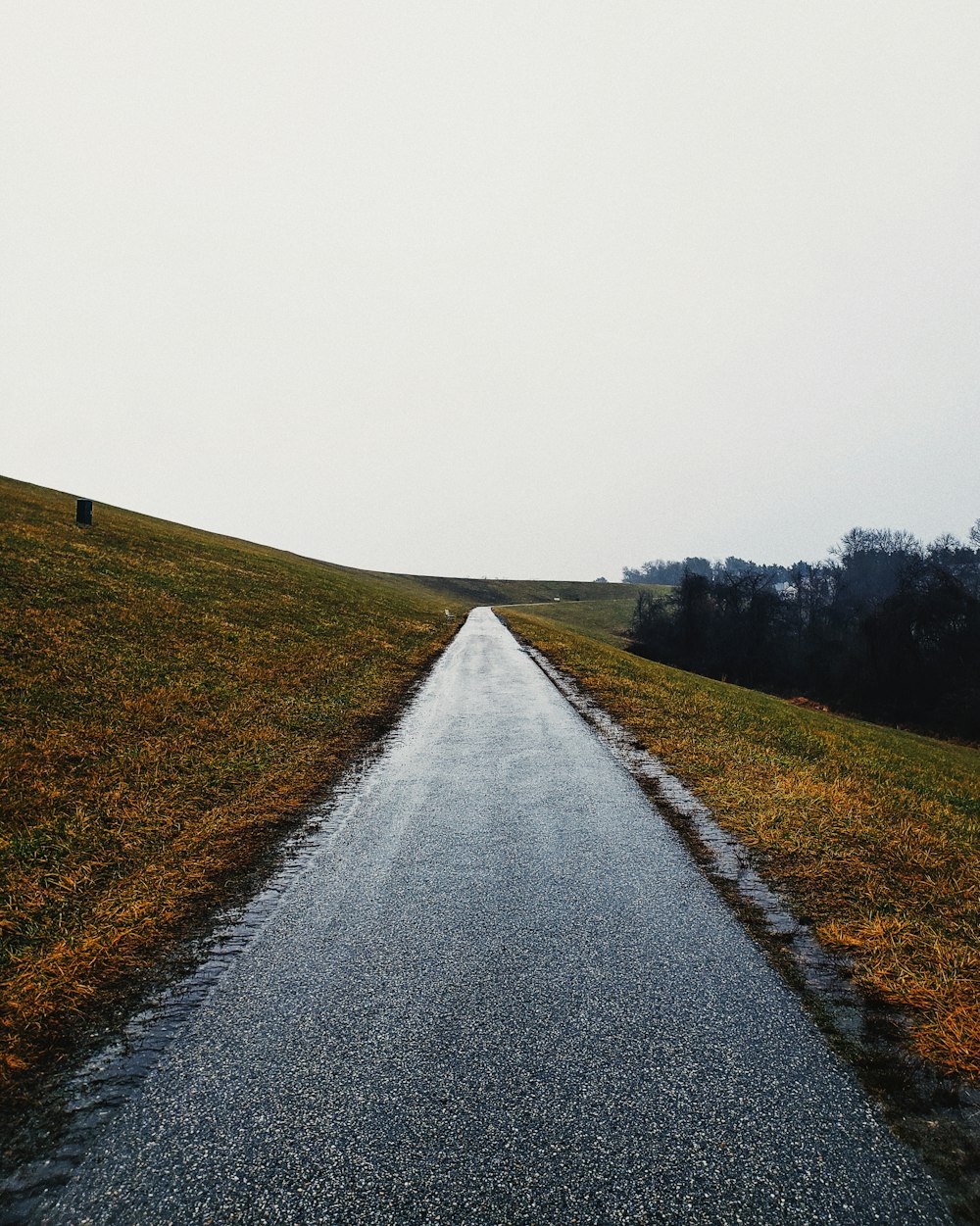 Carretera de asfalto gris entre campos de hierba verde durante el día