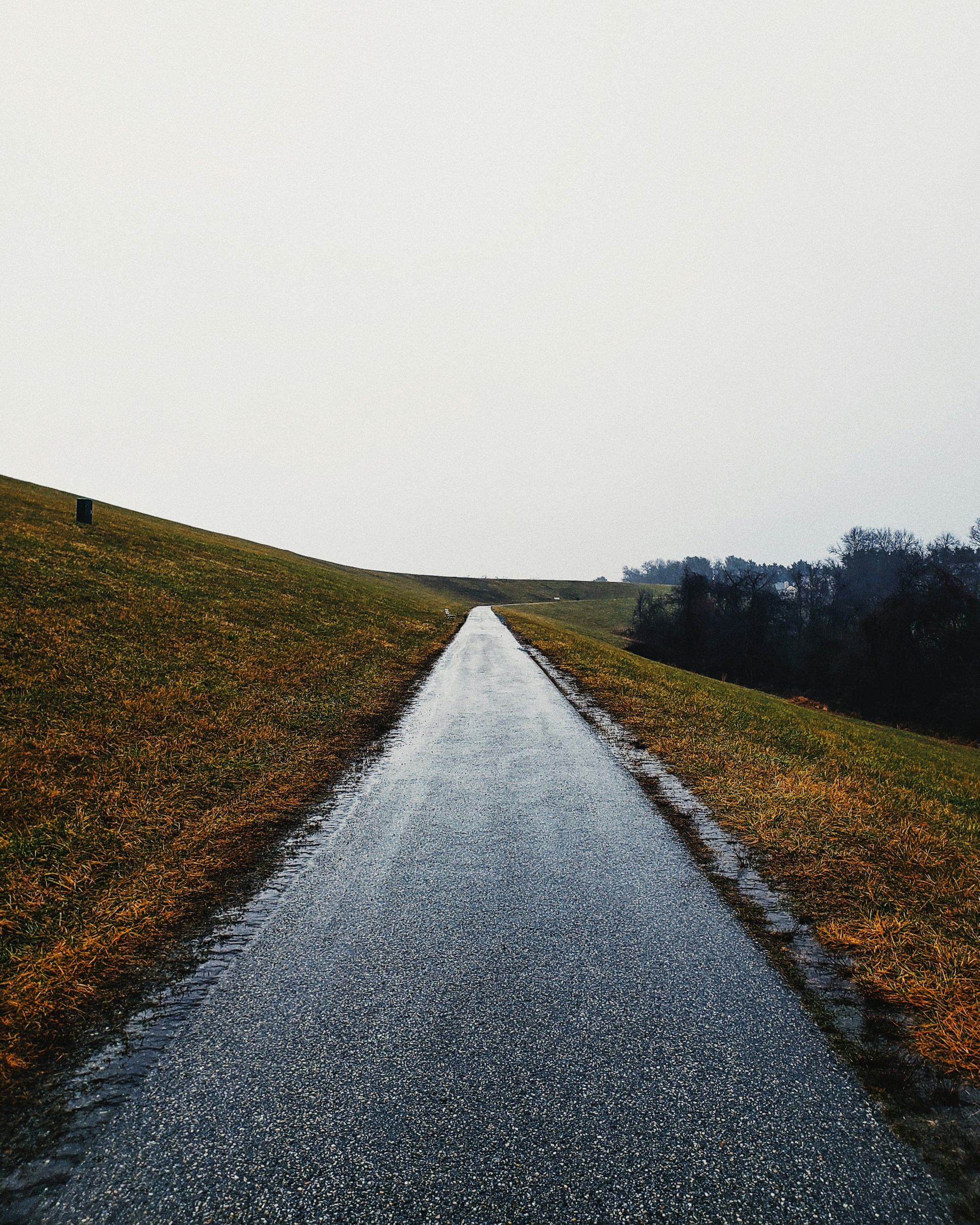 gray asphalt road between green grass field during daytime
