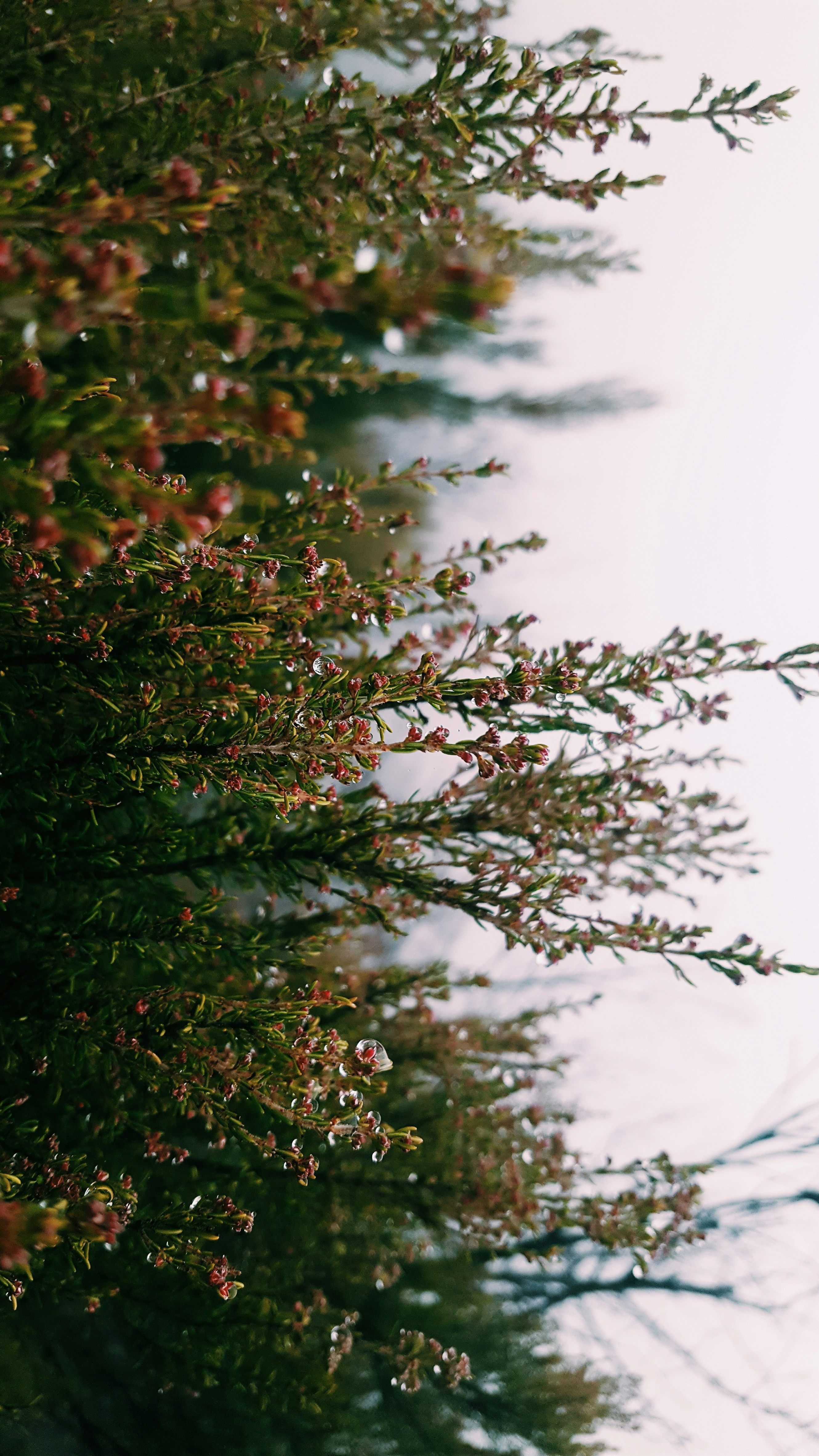 Photo by beatrice_mazzarello