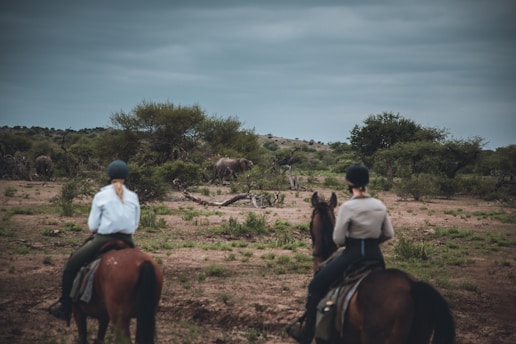 Two people are horseback riding through a savannah landscape where several elephants can be seen in the distance. The sky is overcast, creating a subdued and tranquil atmosphere. The scene is composed of grassy terrain with scattered trees and shrubbery.