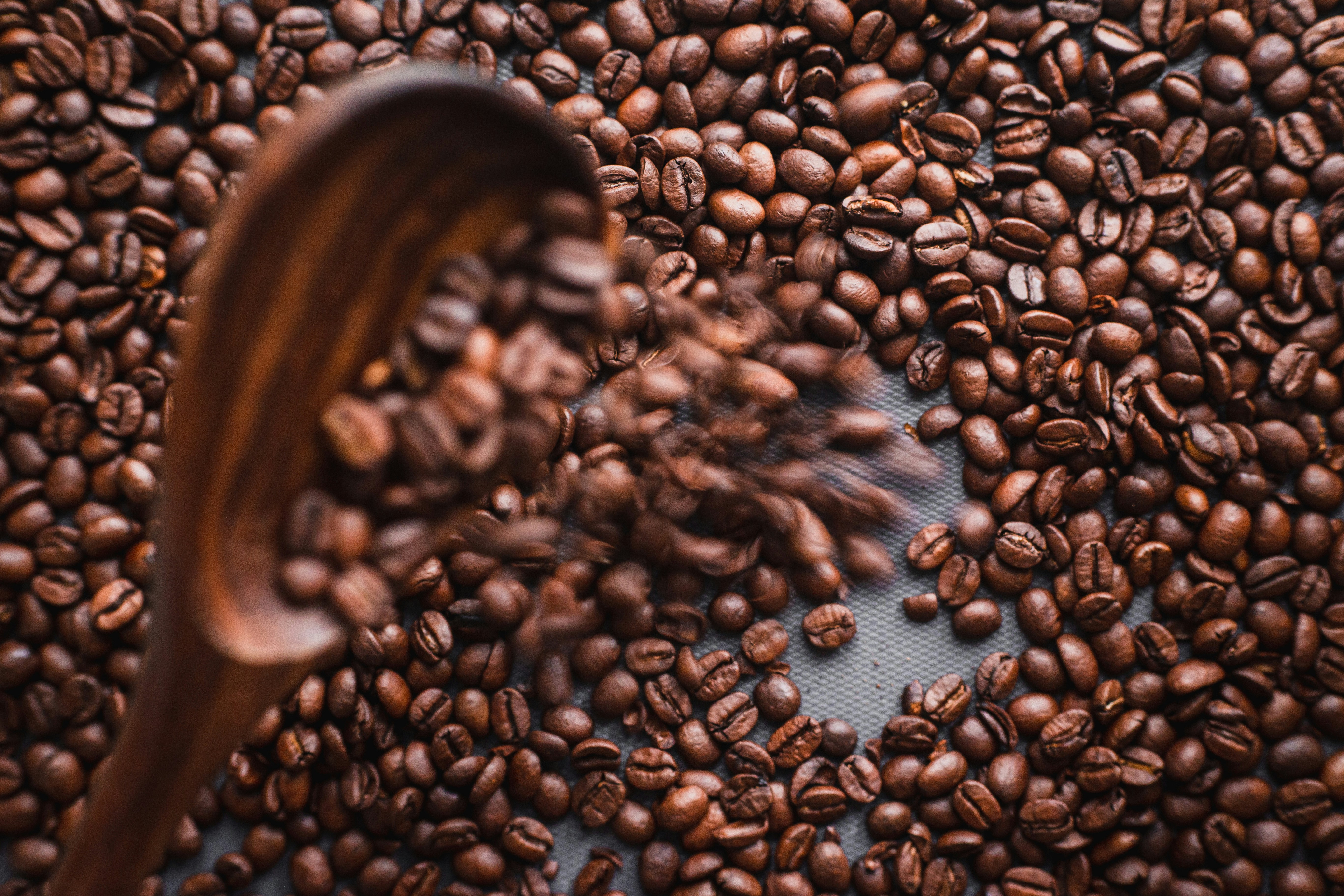 Photo by louishansel