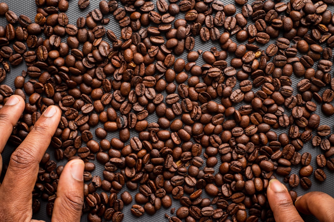 brown coffee beans on persons hand