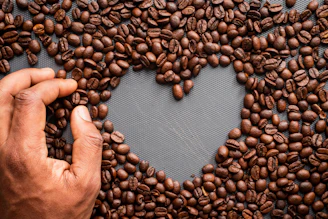 coffee beans on persons hand