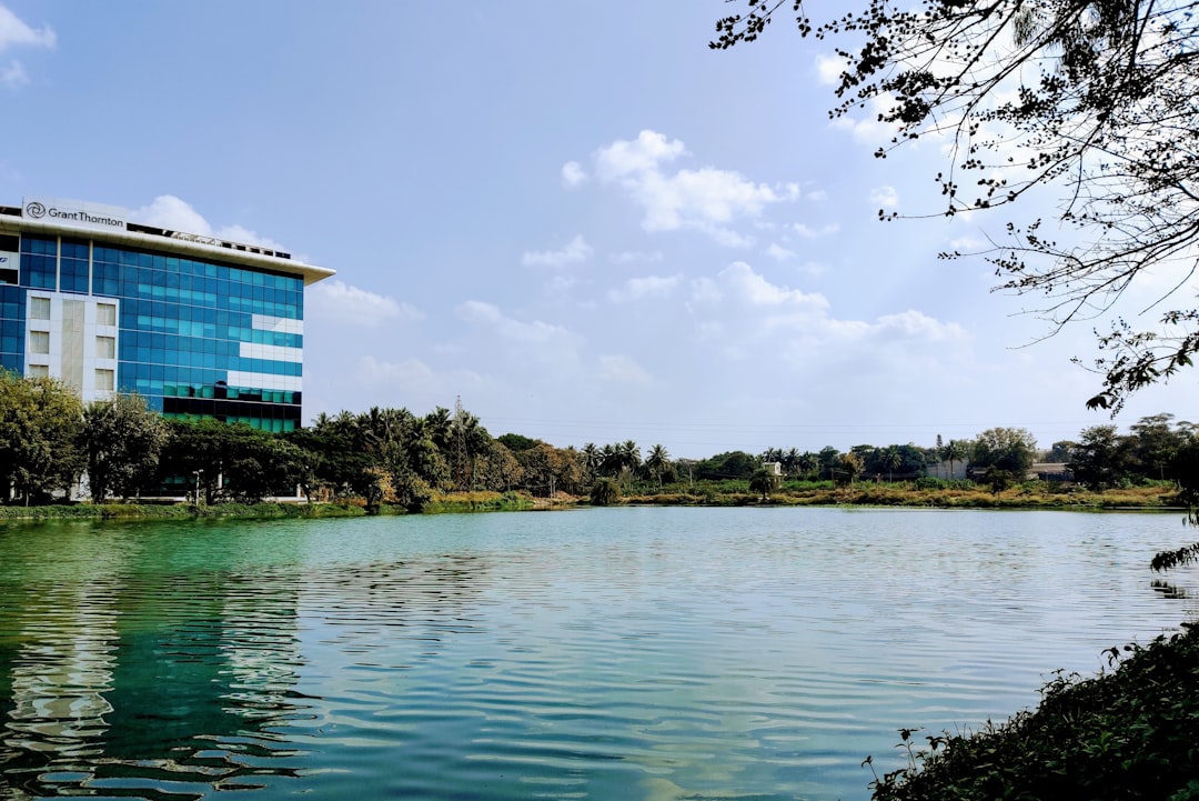 blue and white house near green trees and lake under white clouds and blue sky during