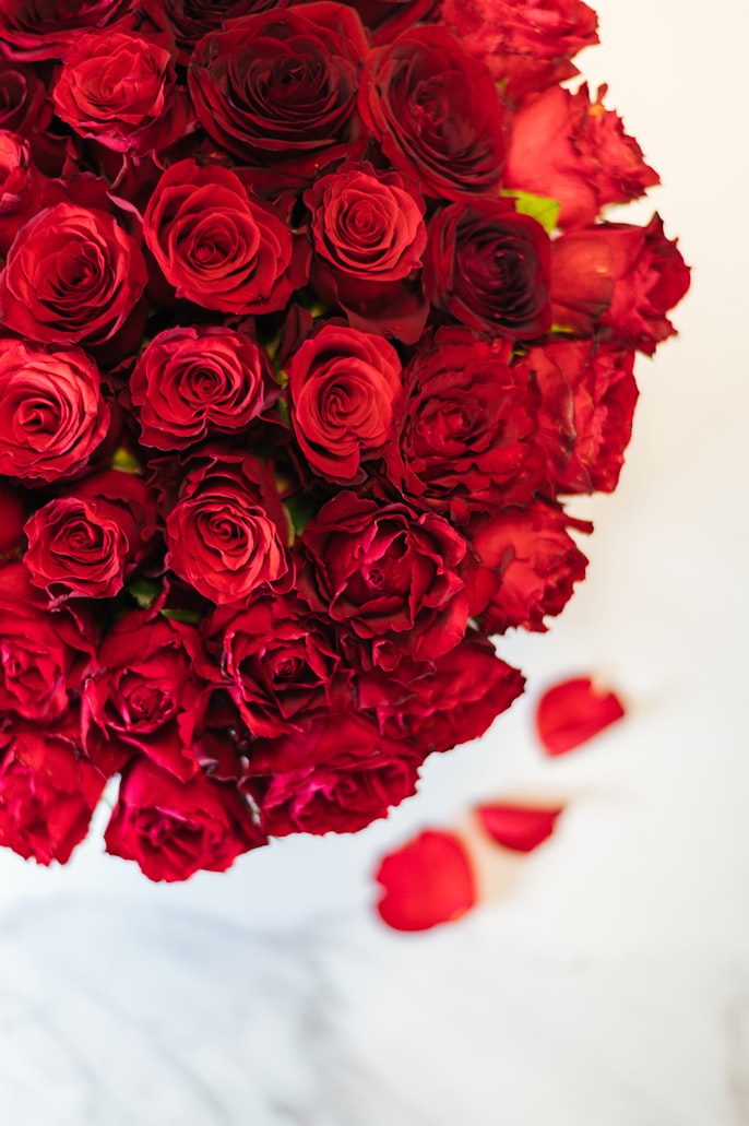 Regala rosas rojas a domicilio| Envía rosas rojas frescas AHORA