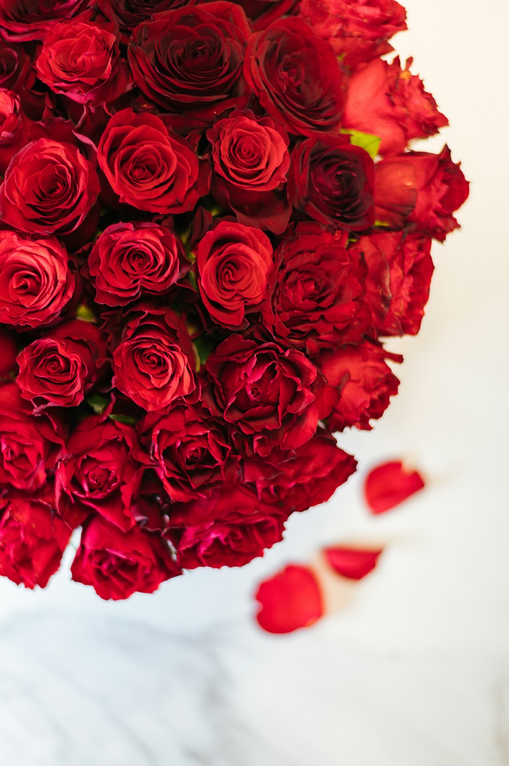 1000+ Rose Bouquet Pictures | Download Free Images On Unsplash