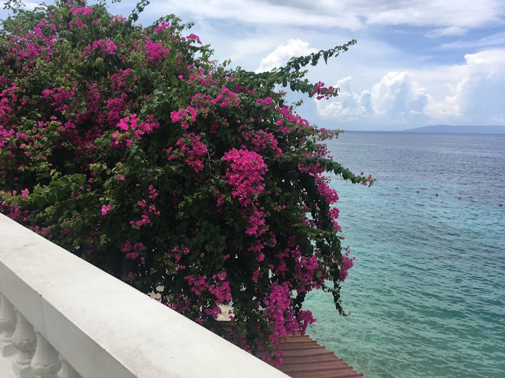 Flores moradas cerca del cuerpo de agua durante el día