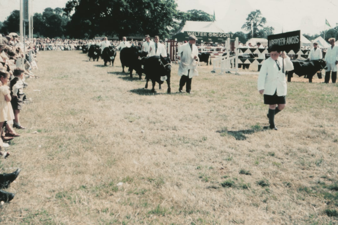 people standing on green grass field during daytime