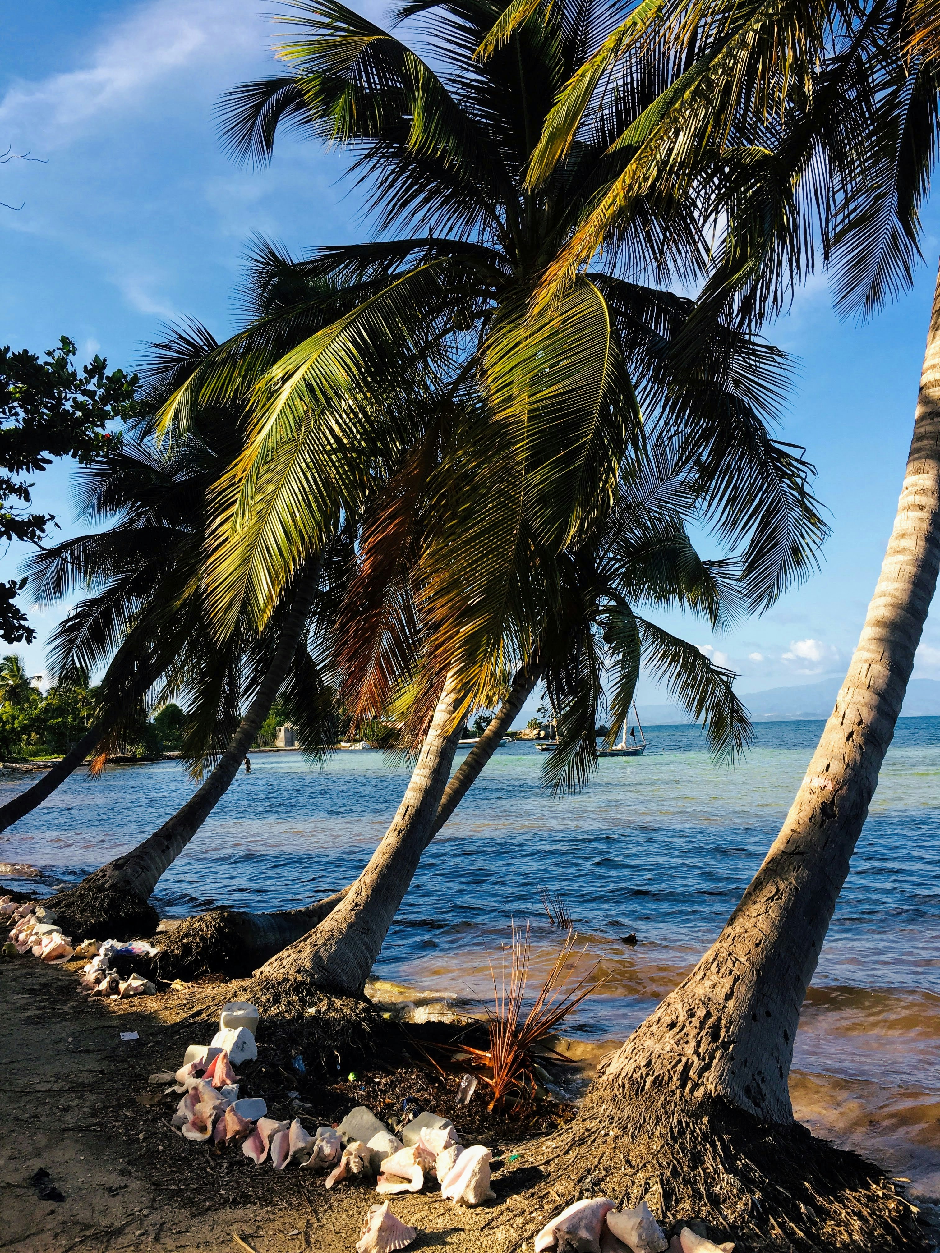 Photo by mareksminder