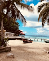 brown wooden boat on white sand near body of water during daytime