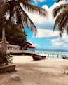 brown wooden boat on white sand near body of water during daytime